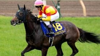 中山芝はまだまだ前有利 武豊騎手＆エリカエクスプレスの押し切りだ