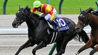 今週の武豊騎手は11鞍 エリカエクスプレスで中山牝馬Sの4勝目なるか