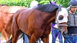 【注目馬動向】２５年ニュージーランドＴ勝ち馬のイミグラントソングはダービー卿ＣＴで復帰へ　社台グループオーナーズが発表