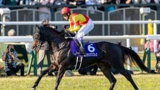 【武豊日記】桜花賞につながる走り