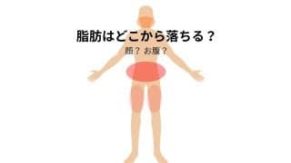 脂肪はどこから落ちる？顔から？お腹は最後？落ちる順番を男女別に解説