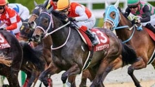 過去10年で1番人気未勝利 フィリーズレビューは前走距離に要注目