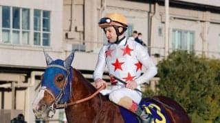 【注目馬動向】ミッキーファイトがドバイ遠征を取りやめ　次走は川崎記念かかしわ記念が選択肢