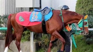 ２０２２年京都２歳Ｓを勝ったグリューネグリーンが競走馬登録抹消　ＪＲＡ発表