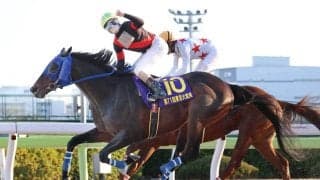 【注目馬動向】緊迫する中東情勢の影響でディクテオンはドバイ遠征取りやめ　昨年の東京大賞典勝ち馬は川崎記念を視野