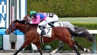 【阪神６Ｒ・３歳１勝クラス】メイショウバルクが力強い伸びで２連勝　幸英明騎手「強かったと思います」