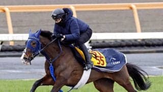 土曜中山競馬場の注目激走馬…中山１１Ｒ中山牝馬ステークス・Ｇ３