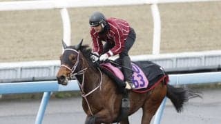 土曜阪神競馬場の注目激走馬…阪神１１Ｒ報知杯フィリーズレビュー・Ｇ２