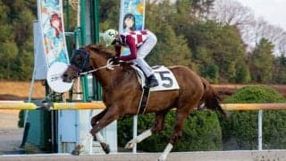 【佐賀競馬】長谷川蓮騎手、地方通算100勝達成