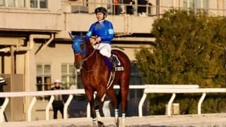 【ダイオライト記念】ナルカミなどJRA馬4頭