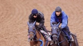 【報知杯ＦＲ】手塚久厩舎から牝馬も新星誕生！ギリーズボール重賞初Ｖで桜切符　西塚洸二騎手は本番も「やれていい」