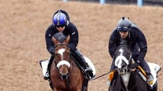 【報知杯弥生賞・特選有力馬チェック】タイダルロックは買うべき？クロワデュノールを叔父に持つ良血馬