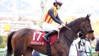 【報知杯ＦＲ】荻野極騎手＆義父・鹿戸調教師のコンビで挑んだサンアントワーヌは２着　「勝ち馬とは枠順の差」と鞍上