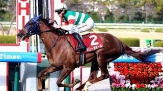 大幅な馬体減→出遅れ→かかり気味で快勝した伏兵に衝撃「買えんて」「こんなに…」　桜花賞トライアル制したギリーズボール