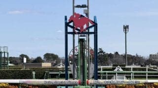 【中山牝馬S】6番人気エセルフリーダが混戦断つ…重賞初制覇