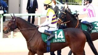 【中山牝馬Ｓ】２番人気ニシノティアモは５連勝ならず　５着でも津村明秀騎手は「全く悲観する内容ではなかった」と手応え