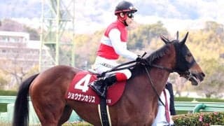 【報知杯ＦＲ】１番人気ショウナンカリスは８着　「スムーズにさばけませんでした」池添謙一騎手は２年連続Ｖならず