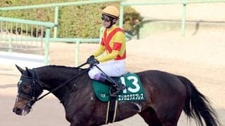 【中山牝馬Ｓ】エリカエクスプレスは最後の最後に力尽き４着　武豊騎手「もう一伸びできそうでできなかった」