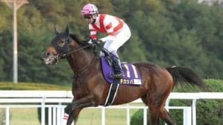 【大井・フジノウェーブ記念枠順】JRAから転入初戦のチカッパは1枠1番