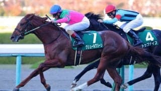 グリューネグリーンが引退、乗馬へ
