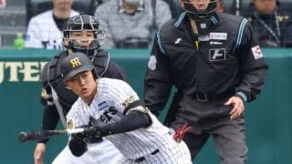 【阪神】中川勇斗が決勝打「思い切ってプレー」浜田太貴はOP戦打率３割超…左翼候補がアピール