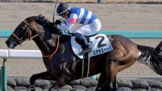 中山芝は内前有利 弥生賞はステラスペースが好配呼ぶ