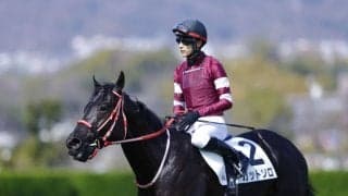 【阪神4R】コントレイル産駒 カットソロが初勝利