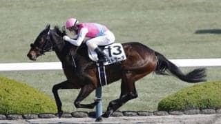【阪神1R】ジャンタルマンタル半妹は5着…ストラーダが初勝利