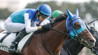 【AI予想・弥生賞】前走が負けて強しと言える走り！ 出走馬の中で唯一の重賞勝ち馬に人工知能も逆らえず