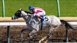 【中山8R】単勝1.4倍ホークライトが7馬身差圧勝…惜敗続きに終止符