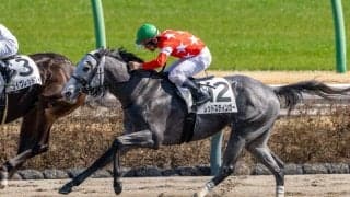 【中山7R】レッドスティンガーが人気に応えて2勝目