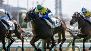 【中山5R】良血ウィロークリークが人気に応える