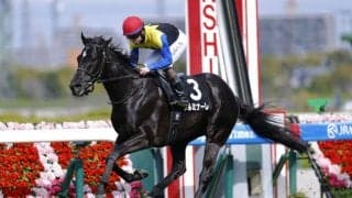 【千里山特別】クルミナーレが3馬身差完勝…人気に応える