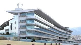 【阪神競馬・８日の馬場】芝は外を伸びる馬もいたがやはり内目をロスなく立ち回る方が有利。砂は基本先行有利も…