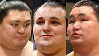 武蔵川親方【春場所展望】安青錦は自分の相撲貫けば綱とり成就するのでは　体を起こされないように徹底を