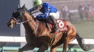 弥生賞は8枠に注意 人気薄でも押さえるべき条件とは