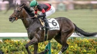 【弥生賞予想】皐月賞と同舞台の前哨戦 二度の急坂を越え大舞台に向かう馬は