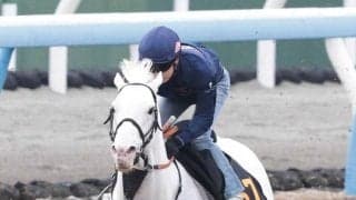 馬トクスタッフが選ぶ日曜の買うべき３頭　中山１０Ｒは長期休養明けでも侮れない実績馬に注意したい