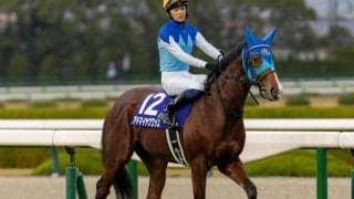 【弥生賞予想】狙える「枠」「前走」「脚質」は？ 過去データから探るGII弥生賞