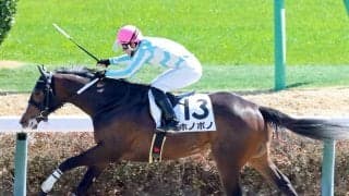 「ガシガシ追われてて...」「名前に反して」容赦ない圧勝劇見せた未勝利馬にネット爆笑　中山３Ｒのホノボノ　　