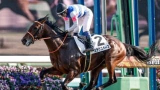 弥生賞は展開利が見込めるステラスペースに注目