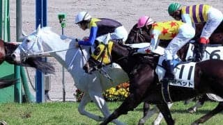 【中山７Ｒ・３歳１勝クラス】白毛の良血馬マルガは敗戦にも手応え　須貝調教師「だんだん走りの姿勢が良くなっている」