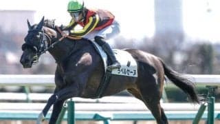 【中山5R結果】初出走のラベルセーヌが5馬身差V 3連単300万超の波乱呼ぶ