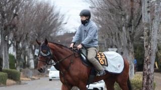 日曜中山競馬場の注目激走馬…中山１１Ｒ報知杯弥生賞ディープインパクト記念・Ｇ２