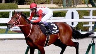 格上挑戦の未勝利馬がまさかの特別戦圧勝にネット驚がく「陣営の判断がすごい」　武豊騎手のカフジエメンタールがアルメリア賞Ⅴ