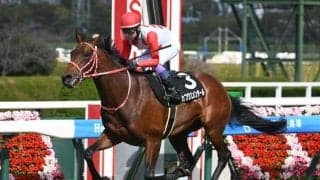 【アルメリア賞結果】カフジエメンタールが3馬身半差の圧勝で初勝利飾る