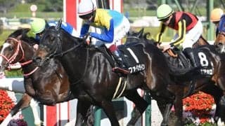 【JRA・WIN5】本日のWIN5は的中20票、配当3395万990円