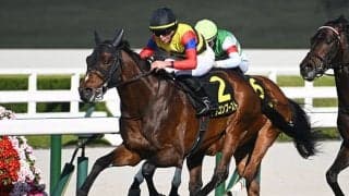 【大阪城S結果】ドラゴンブーストが差し切りV 前走ダートで大敗も芝に戻って巻き返す
