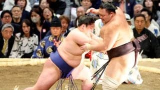 新入幕の藤青雲が初日飾る　元大関の朝乃山に勝利　「藤凌駕と一緒に勝ち越したい」