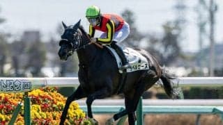 【中山5R】ラベルセーヌが初出走、初勝利！既走馬相手に5馬身差圧勝
